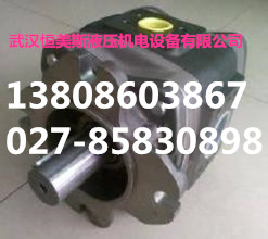 VQ25-75-F-L葉片泵,GPA2-6-6-EK1-20R6.3齒輪泵